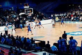 Merlins beim Spiel in Karlsruhe